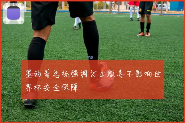 墨西哥总统强调打击贩毒不影响世界杯安全保障