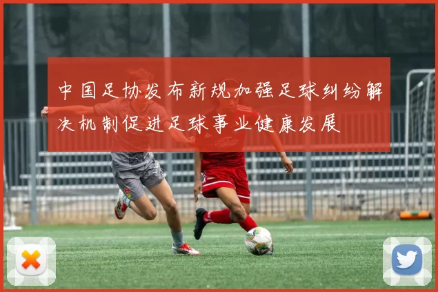 中国足协发布新规加强足球纠纷解决机制促进足球事业健康发展
